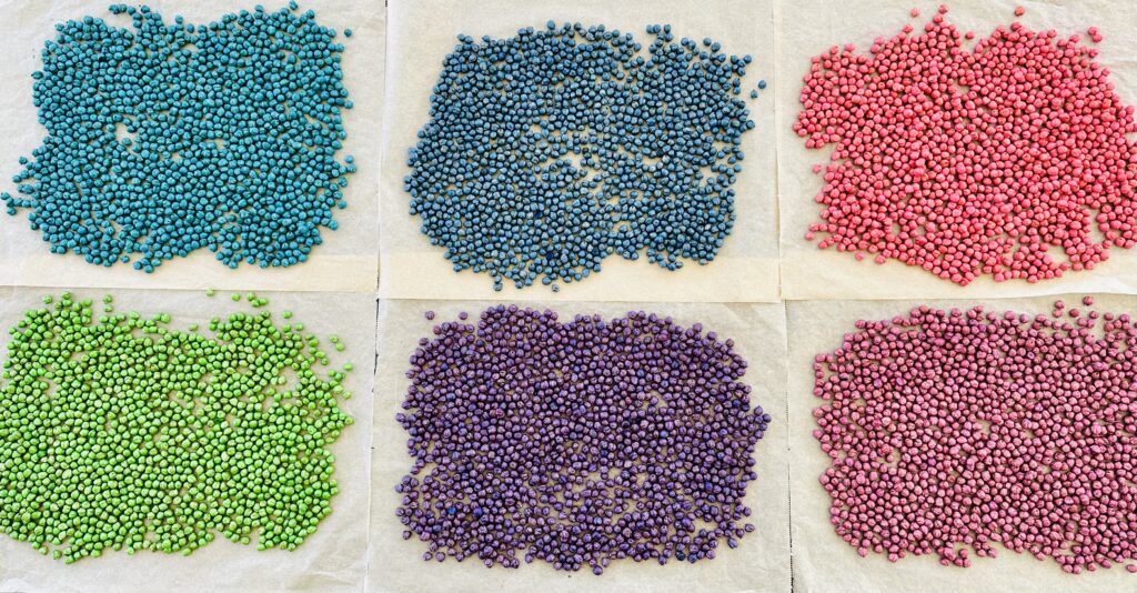 Dyed chickpeas layed out on parchment paper to dry