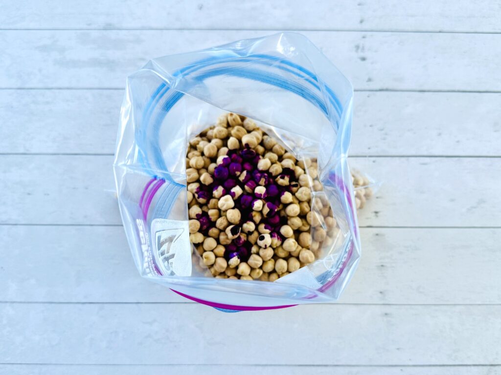 Food coloring and vinegar added to the dry chickpeas in a ziplock bag.