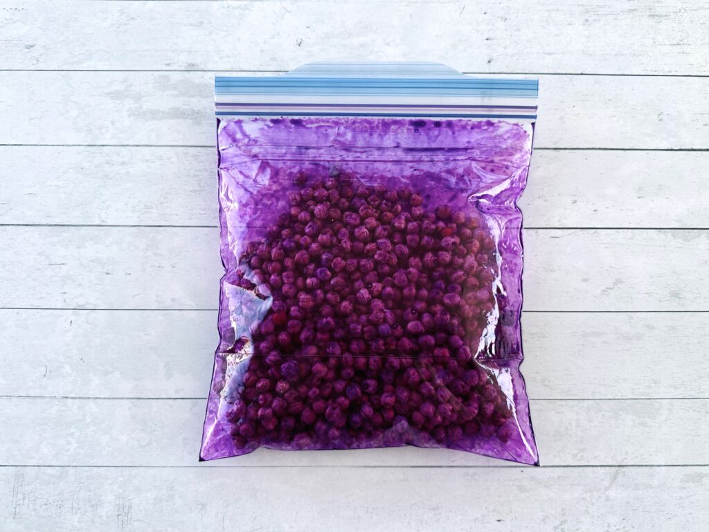 Chickpeas and food coloring in a Ziplock bag after shaking