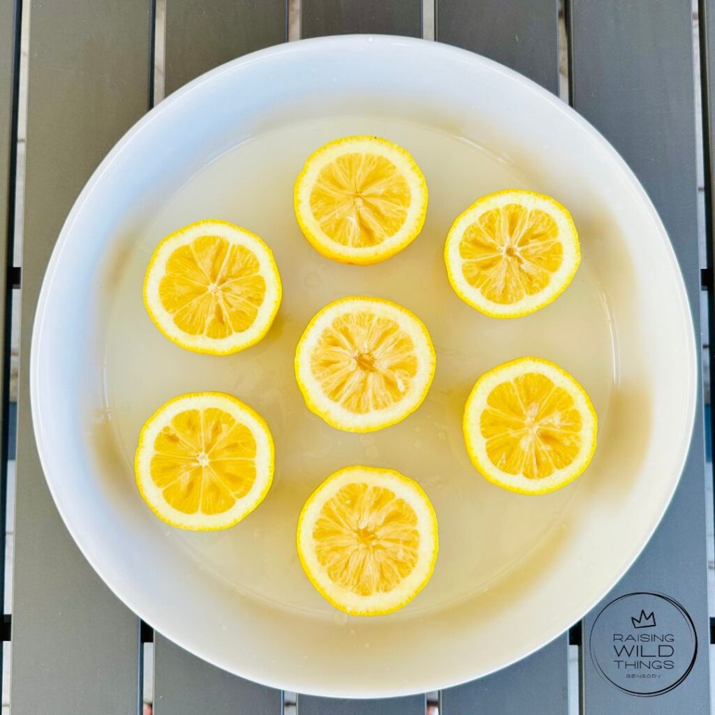 Lemon halves arranged on a sensory bin.