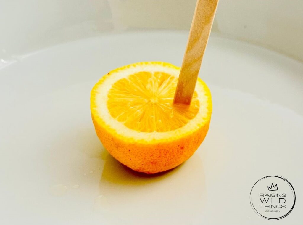 Using a craft stick to poke holes in a lemon.