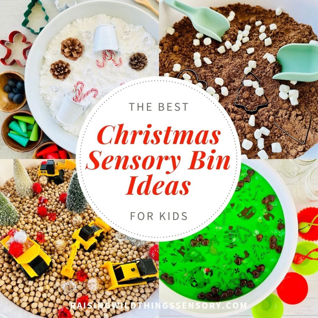 The Best Christmas Sensory Bin Ideas