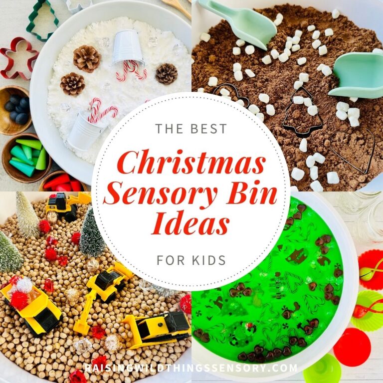 The Best Christmas Sensory Bin Ideas