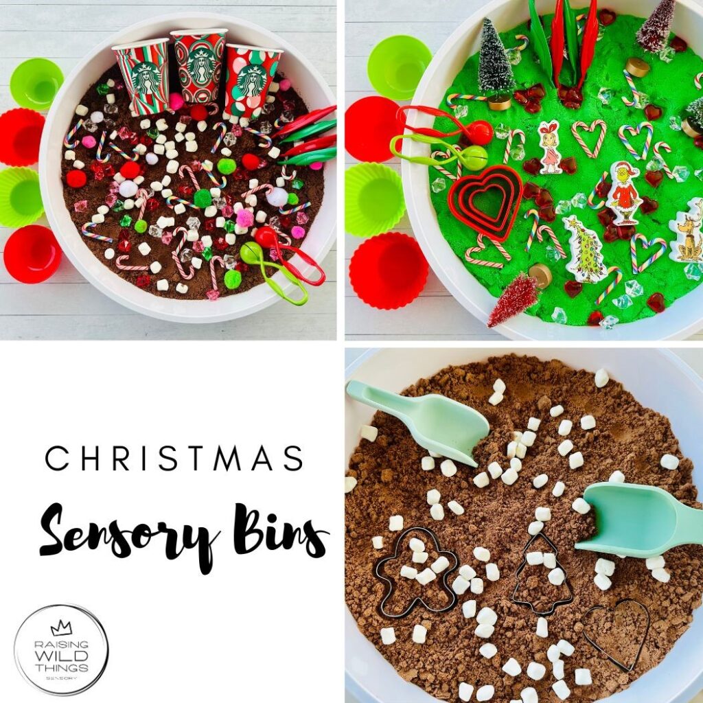 The Best Christmas Sensory Bin Ideas