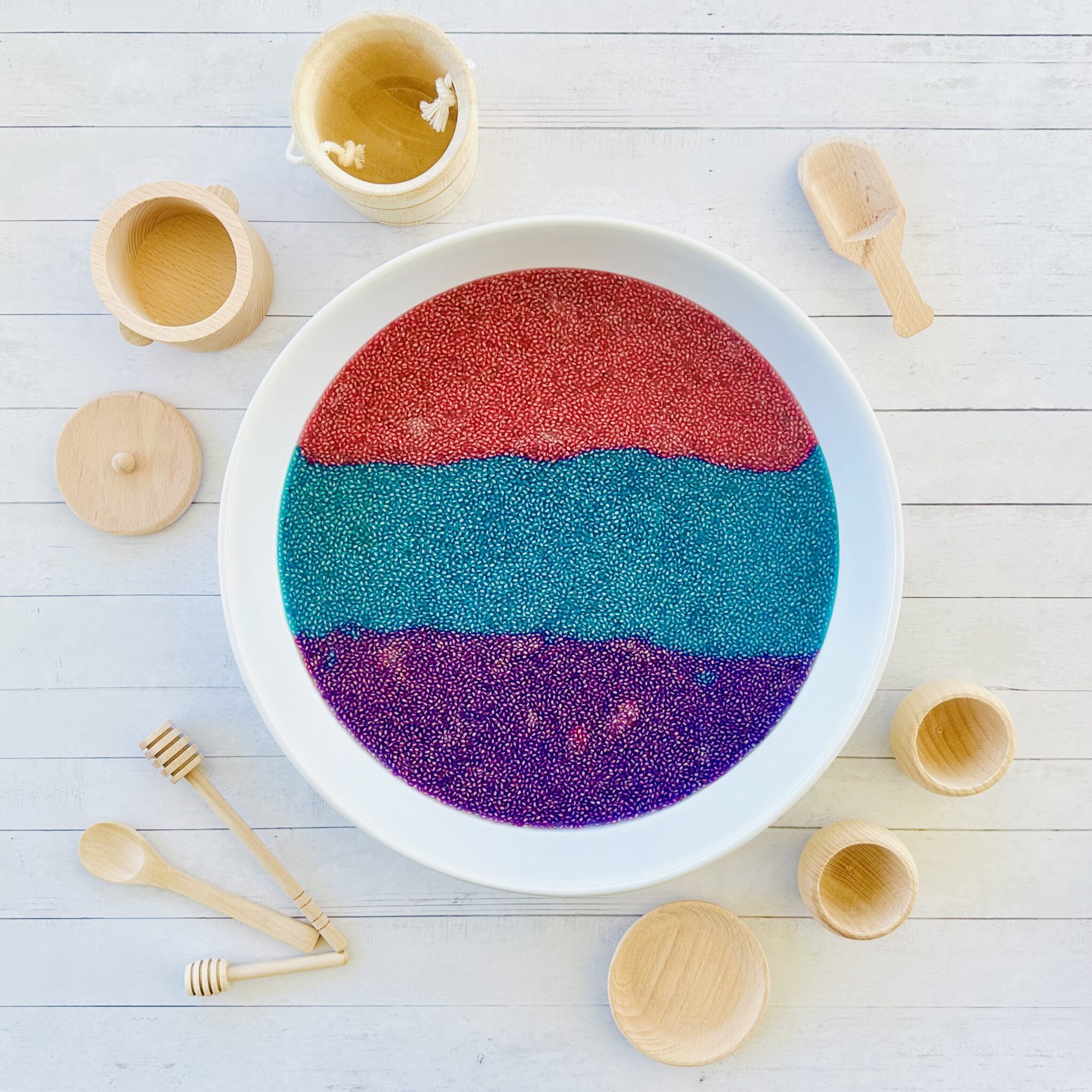 How to Make Taste-Safe Chia Seed Sensory "Slime" - Raising Wild Things ...
