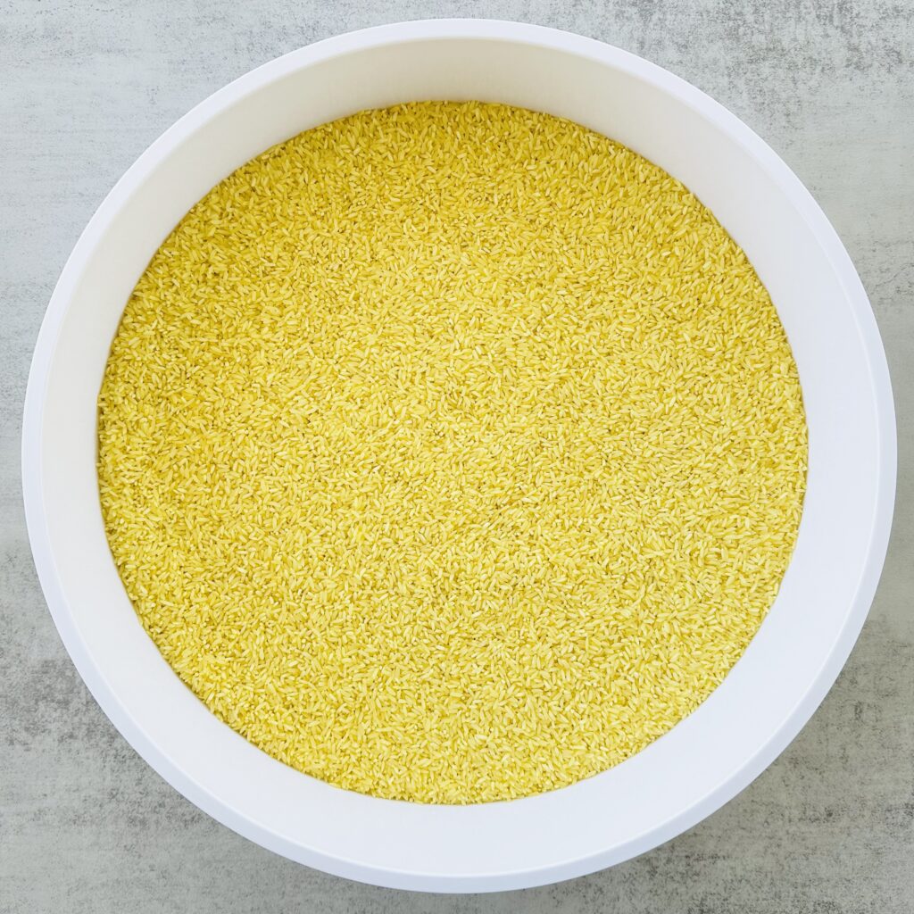 How To Make A Construction Colored Rice Sensory Bin